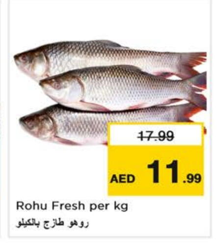 available at Nesto Hypermarket in UAE - Sharjah / Ajman
