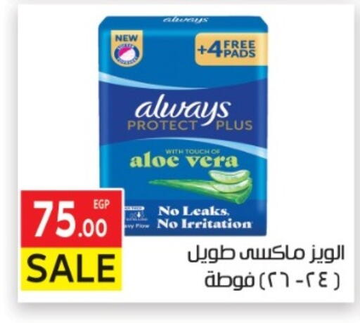 available at المحلاوي ماركت in Egypt - القاهرة