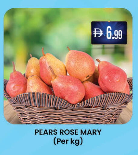 available at صفا اكسبريس سوبرماركت in الإمارات العربية المتحدة , الامارات - أبو ظبي