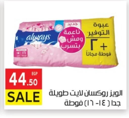 available at المحلاوي ماركت in Egypt - القاهرة