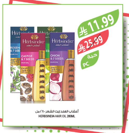 Onion available at المزرعة in مملكة العربية السعودية, السعودية, سعودية - عرعر