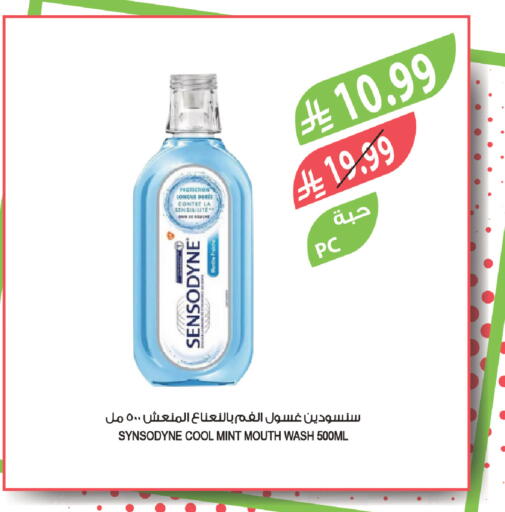 Mint available at Farm  in KSA, Saudi Arabia, Saudi - Jazan