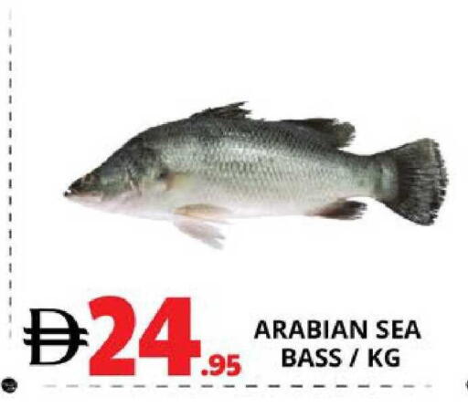 available at EXPRESS AL MADEENA HYPERMARKET LLC in UAE - Abu Dhabi