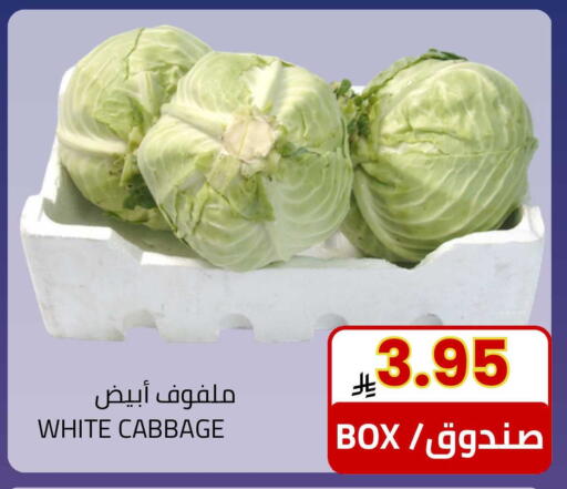 Cabbage available at Astra Markets in KSA, Saudi Arabia, Saudi - Tabuk