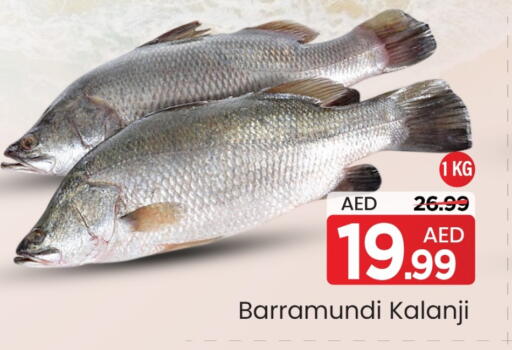 available at مارك & سيف in الإمارات العربية المتحدة , الامارات - أبو ظبي