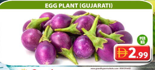 available at جراند هايبر ماركت in الإمارات العربية المتحدة , الامارات - دبي