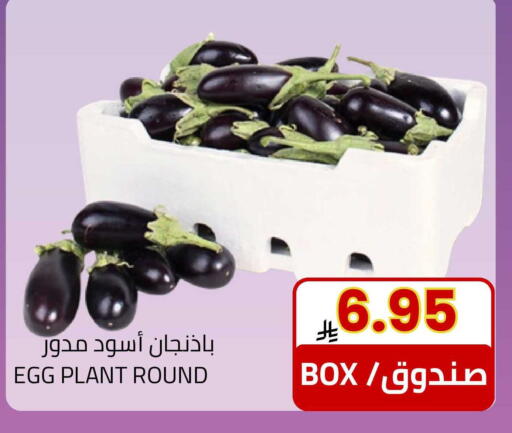 available at Astra Markets in KSA, Saudi Arabia, Saudi - Tabuk