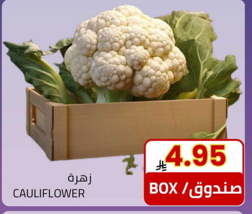 Cauliflower available at Astra Markets in KSA, Saudi Arabia, Saudi - Tabuk