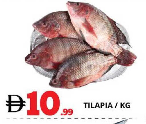 available at EXPRESS AL MADEENA HYPERMARKET LLC in UAE - Abu Dhabi