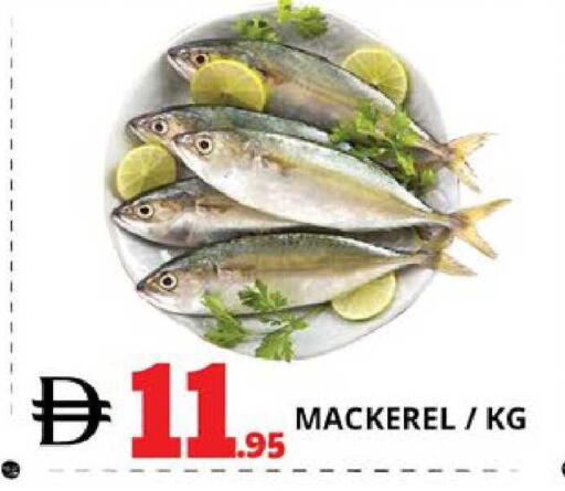 available at EXPRESS AL MADEENA HYPERMARKET LLC in UAE - Abu Dhabi