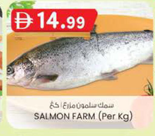 available at ك. الم. للتجارة in الإمارات العربية المتحدة , الامارات - الشارقة / عجمان