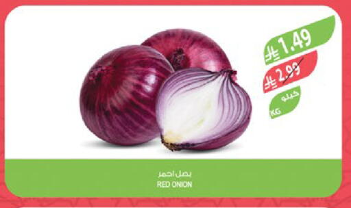 Onion available at Farm  in KSA, Saudi Arabia, Saudi - Al Hasa