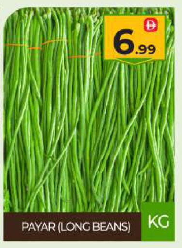 available at بيج مارت in الإمارات العربية المتحدة , الامارات - أبو ظبي