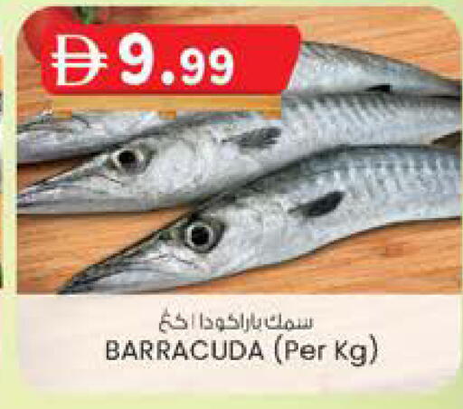 available at ك. الم. للتجارة in الإمارات العربية المتحدة , الامارات - الشارقة / عجمان