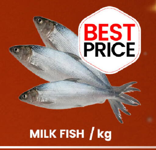 available at GSY Cash & Carry Supermarket in UAE - Dubai