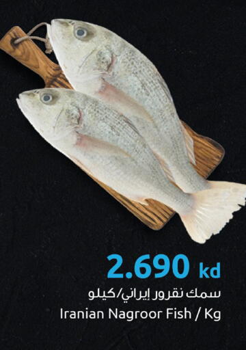 available at The Sultan Center in Kuwait - Kuwait City