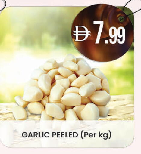 Garlic available at K M Trading  in UAE - Dubai