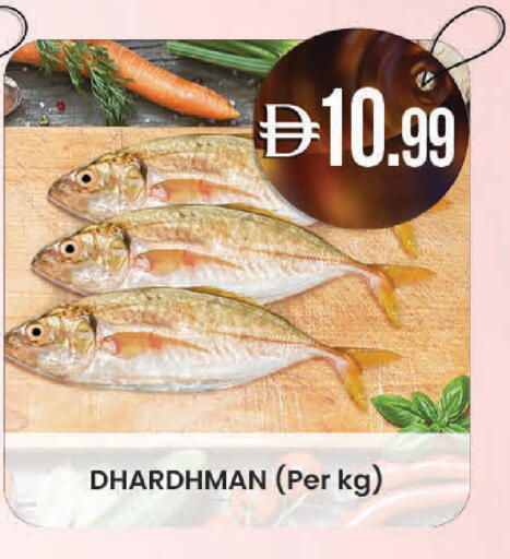 available at K M Trading  in UAE - Fujairah