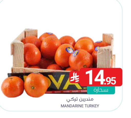 from Turkey available at Muntazah Markets in KSA, Saudi Arabia, Saudi - Qatif