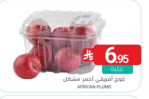 available at اسواق المنتزه in مملكة العربية السعودية, السعودية, سعودية - سيهات