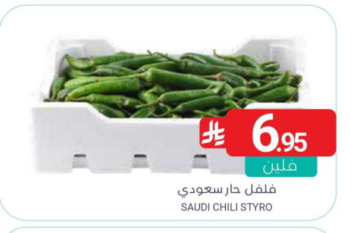 available at Muntazah Markets in KSA, Saudi Arabia, Saudi - Saihat