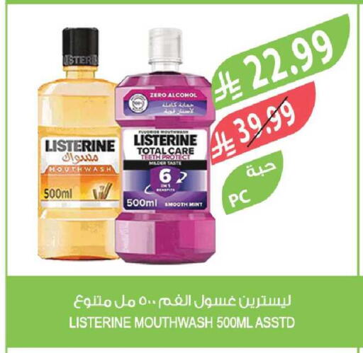 Mint available at المزرعة in مملكة العربية السعودية, السعودية, سعودية - جدة