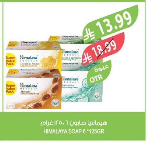 Turmeric Cucumber available at المزرعة in مملكة العربية السعودية, السعودية, سعودية - ينبع