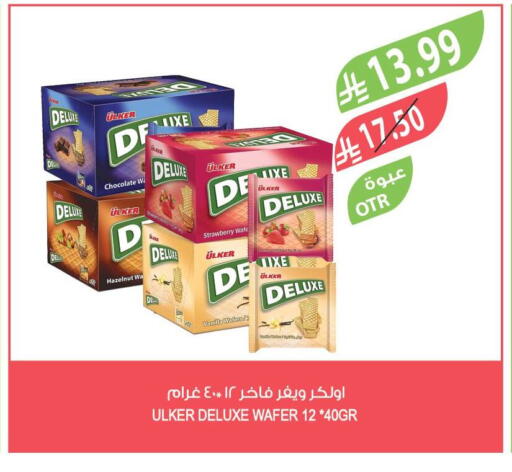 Strawberry available at Farm  in KSA, Saudi Arabia, Saudi - Sakaka