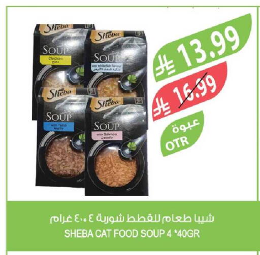 available at المزرعة in مملكة العربية السعودية, السعودية, سعودية - جدة