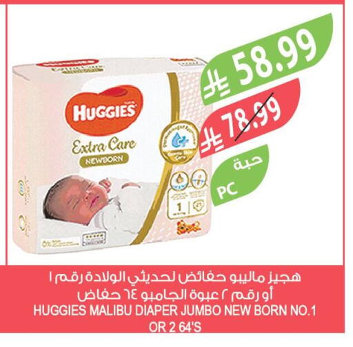 available at Farm  in KSA, Saudi Arabia, Saudi - Jubail