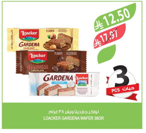 Coconut available at المزرعة in مملكة العربية السعودية, السعودية, سعودية - سيهات