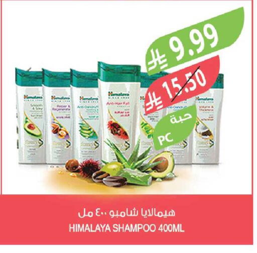 available at المزرعة in مملكة العربية السعودية, السعودية, سعودية - جازان