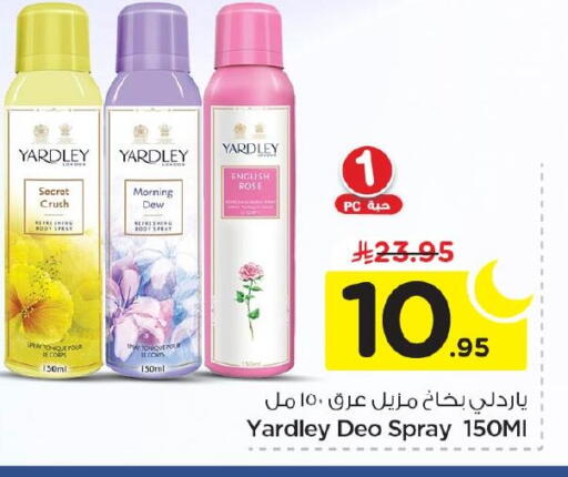 available at نستو in مملكة العربية السعودية, السعودية, سعودية - الأحساء‎