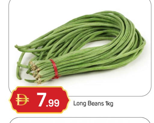 available at سوق طلال in الإمارات العربية المتحدة , الامارات - دبي