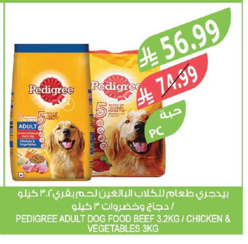 available at المزرعة in مملكة العربية السعودية, السعودية, سعودية - جدة