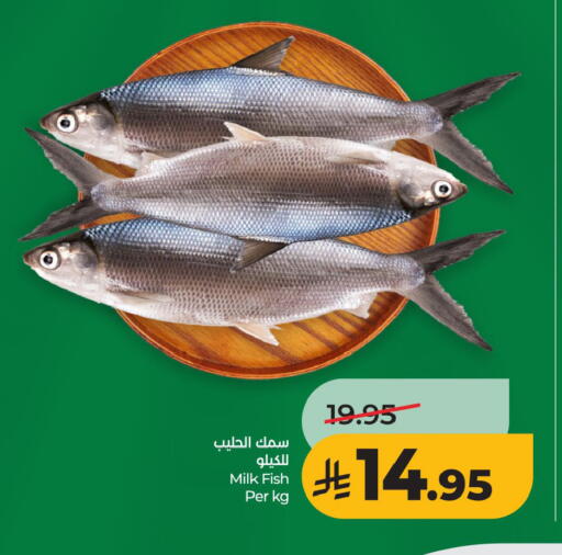 available at LULU Hypermarket in KSA, Saudi Arabia, Saudi - Hafar Al Batin