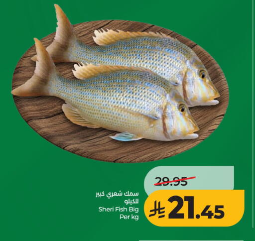 available at LULU Hypermarket in KSA, Saudi Arabia, Saudi - Hafar Al Batin