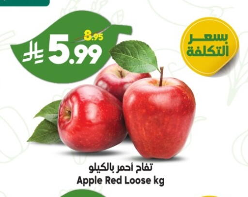 available at Dukan in KSA, Saudi Arabia, Saudi - Ta'if