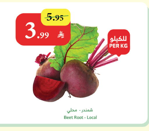 available at Al Raya in KSA, Saudi Arabia, Saudi - Jazan