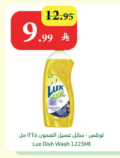 available at Al Raya in KSA, Saudi Arabia, Saudi - Al Bahah