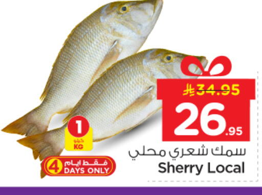 available at Nesto in KSA, Saudi Arabia, Saudi - Buraidah