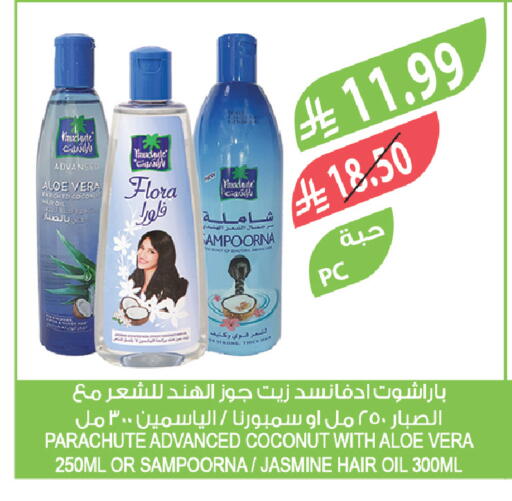 Coconut available at Farm  in KSA, Saudi Arabia, Saudi - Saihat