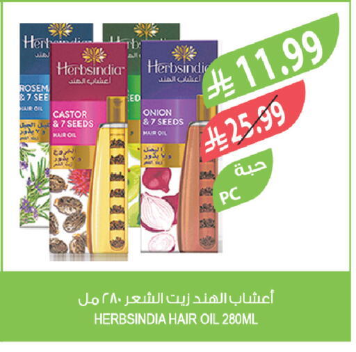 Onion available at Farm  in KSA, Saudi Arabia, Saudi - Al-Kharj