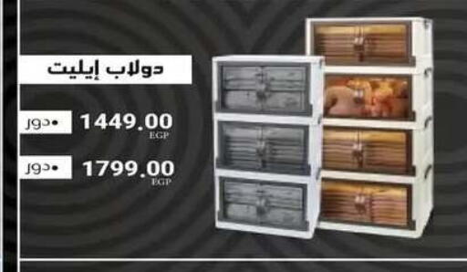 available at رنين in Egypt - القاهرة