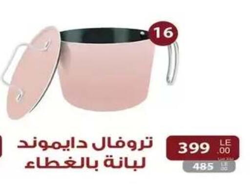 available at رنين in Egypt - القاهرة