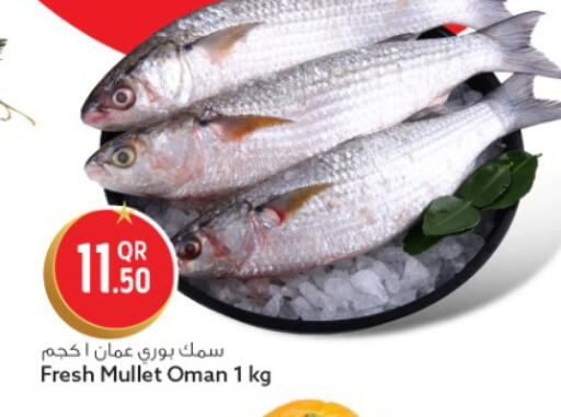 available at Safari Hypermarket in Qatar - Al-Shahaniya