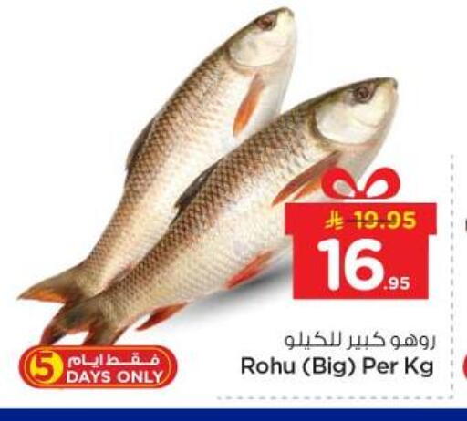 available at نستو in مملكة العربية السعودية, السعودية, سعودية - الخرج