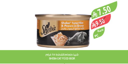 available at المزرعة in مملكة العربية السعودية, السعودية, سعودية - الخرج