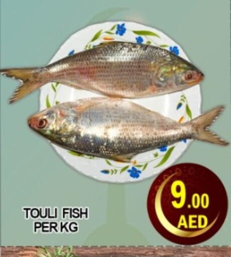 available at Green Gift Department Store in UAE - Dubai