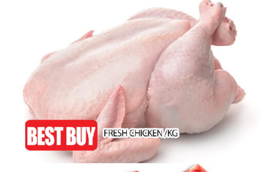 available at عين المدينة هايبرماركت in الإمارات العربية المتحدة , الامارات - الشارقة / عجمان